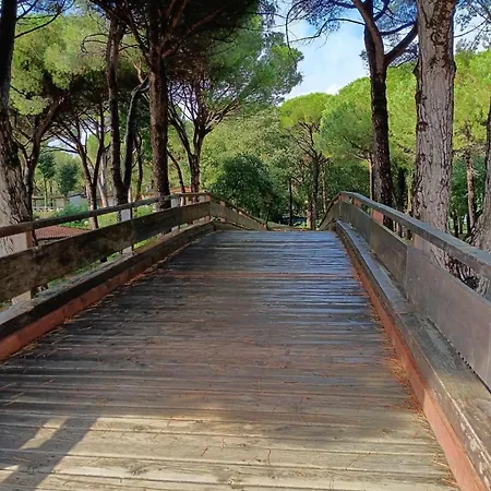 Jackson Бельведере