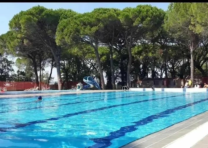 Holiday park Jackson